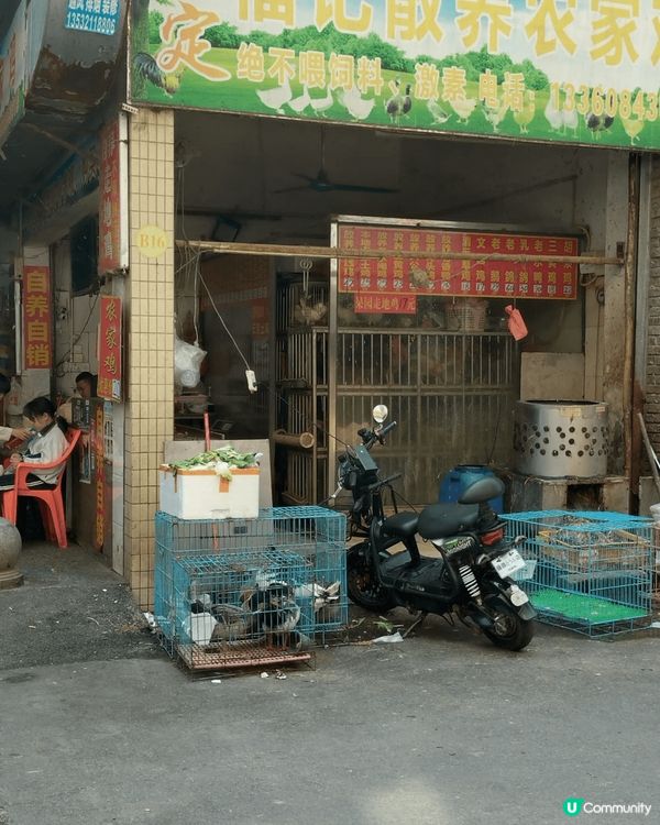 中國CN广東省惠州市惠東县2-1單完03鋪，重有咁原始的雞檔...