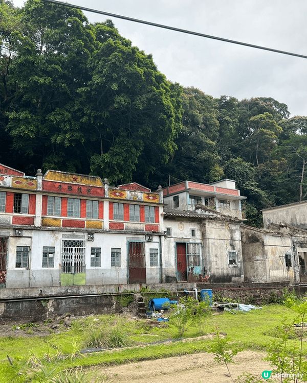 鹿頸，谷埔，雞谷樹下，新娘潭行山好去處！#chill嘆酒店旅...