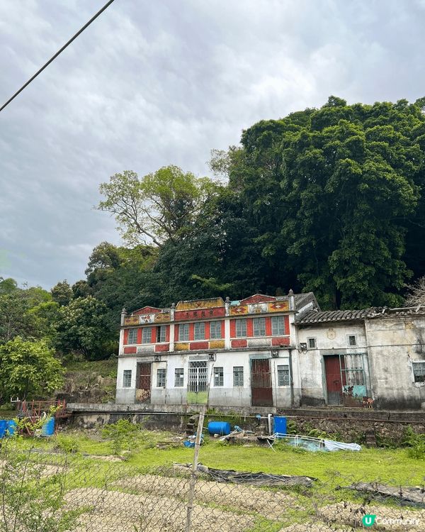 鹿頸，谷埔，雞谷樹下，新娘潭行山好去處！#chill嘆酒店旅...