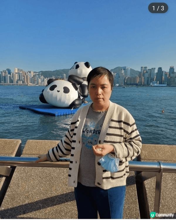 香港火鍋店打便爐和去尖沙咀打卡拍照。