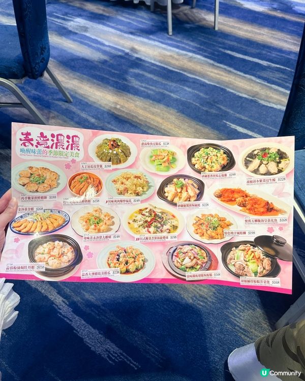 絕美香港夜景,滋味中菜味蕾享受