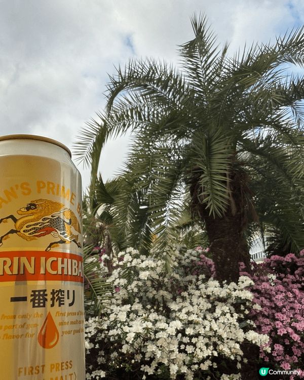 #沉醉櫻花海   春來大地， 萬物皆生， 沉醉在一片片花海之...