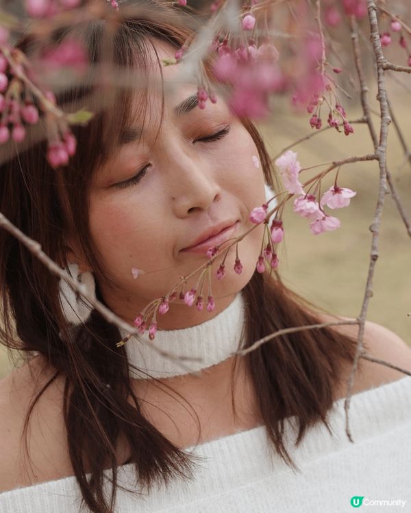 這次去了日本東京賞櫻花 🌸