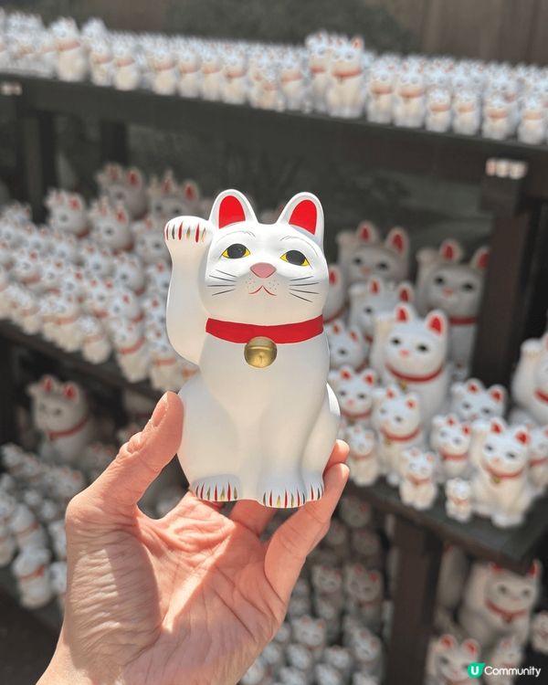 旅行最愛走景點打卡，豪德寺想去好耐，終於有機會去，仲連續去左...