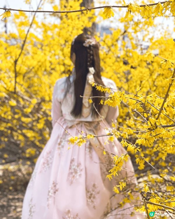 早兩星期去咗韓國首爾旅行，一定要去景福宮著韓服影相打卡喇！呢...