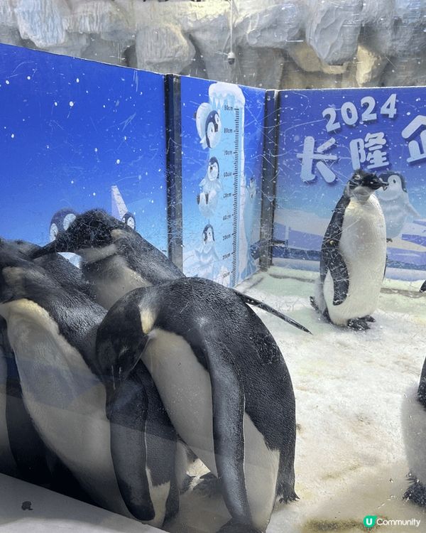 珠海長隆海洋王國 超好玩