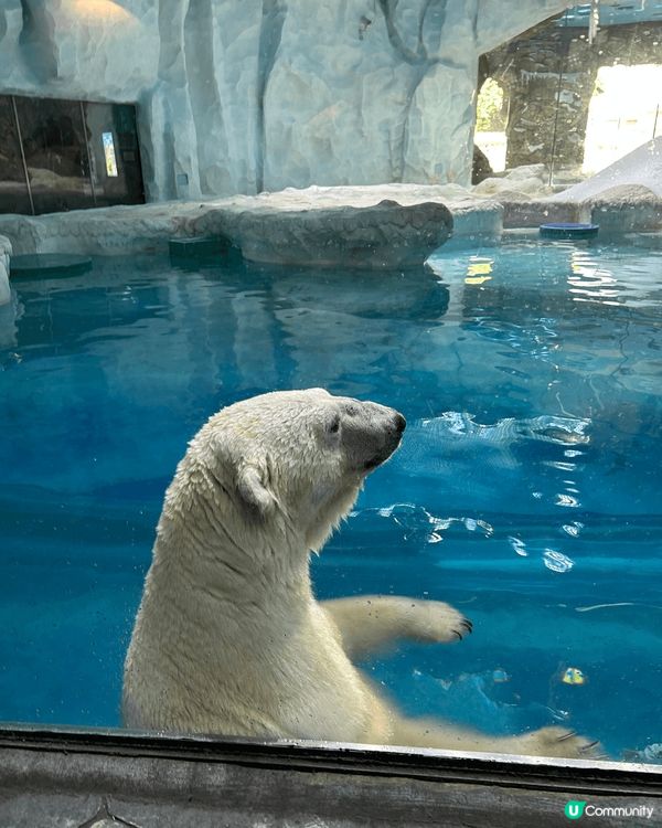 珠海長隆海洋王國 超好玩