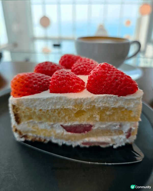 🔥 THRILL ON THE MUG! 韓國釜山影絕美海景...