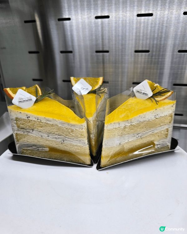 🔥 THRILL ON THE MUG! 韓國釜山影絕美海景...