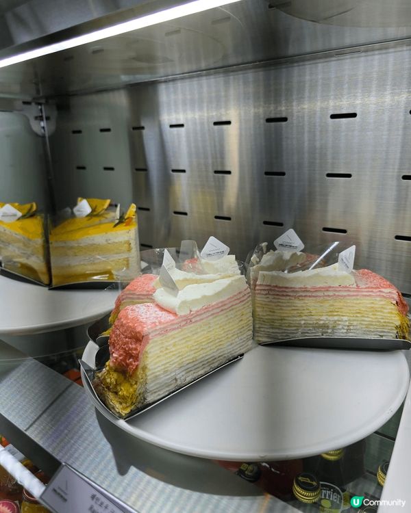 🔥 THRILL ON THE MUG! 韓國釜山影絕美海景...