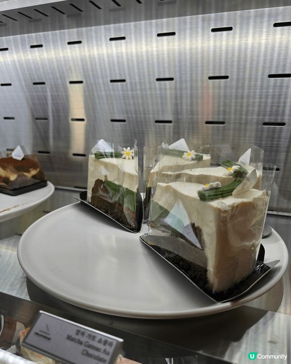 🔥 THRILL ON THE MUG! 韓國釜山影絕美海景...