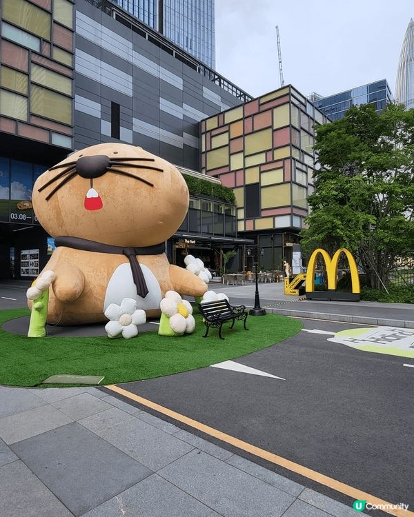 ## 深圳灣潮流商場+古文藝之旅 🛍️🎨