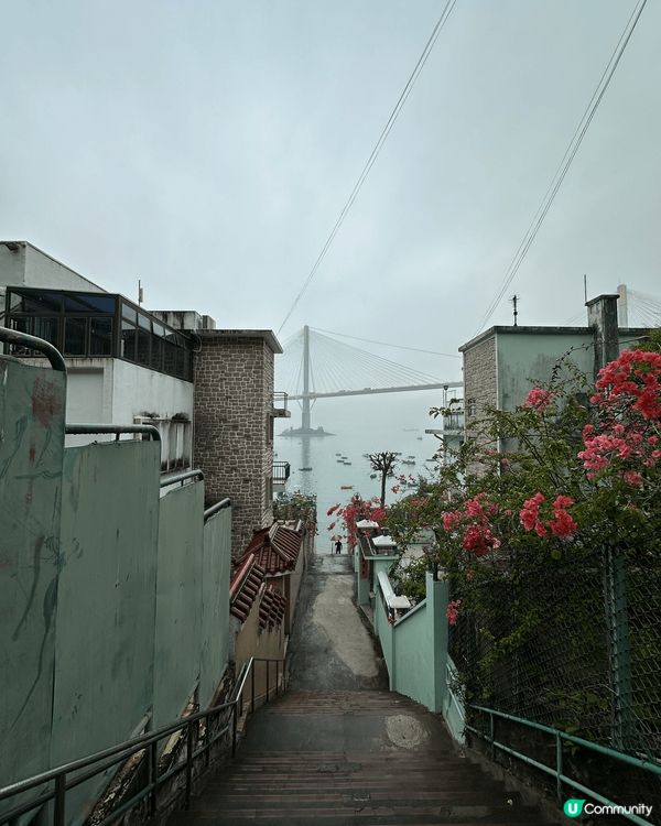 梯間中的汀九橋真係好靚，加上旁邊🌺花花的加持，更像🛤️一幅畫...