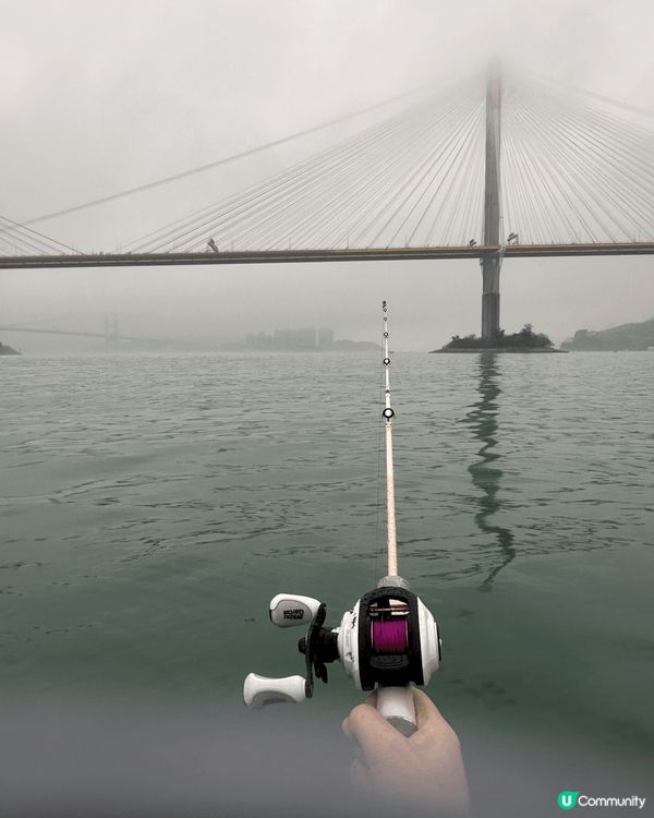 梯間中的汀九橋真係好靚，加上旁邊🌺花花的加持，更像🛤️一幅畫...