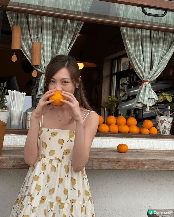 一個濟洲你唔去一定會後悔既咖啡廳🍊