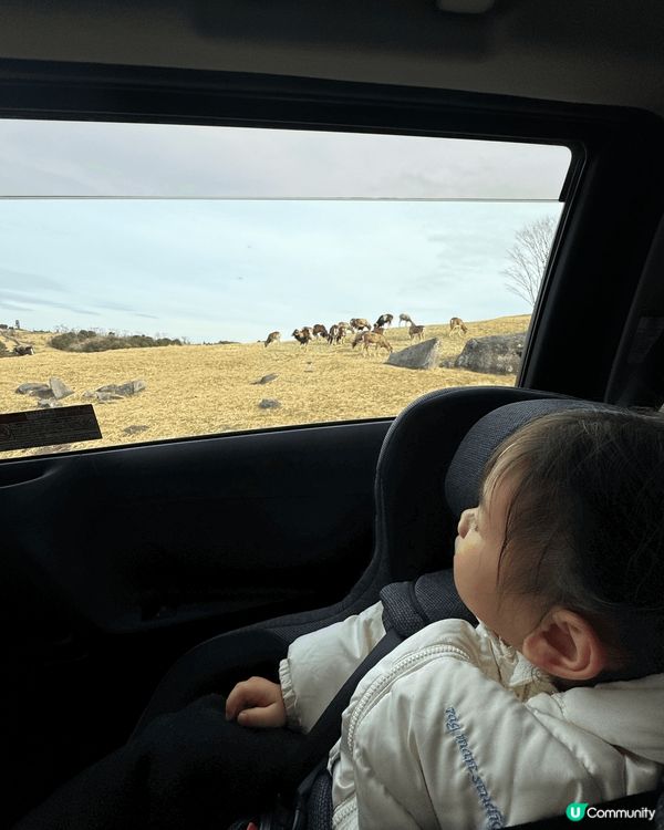 福岡係一個男女老幼皆宜既地方～ 好多baby friendl...