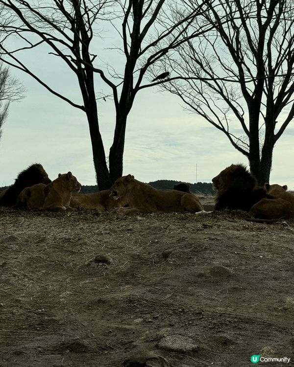 福岡係一個男女老幼皆宜既地方～ 好多baby friendl...