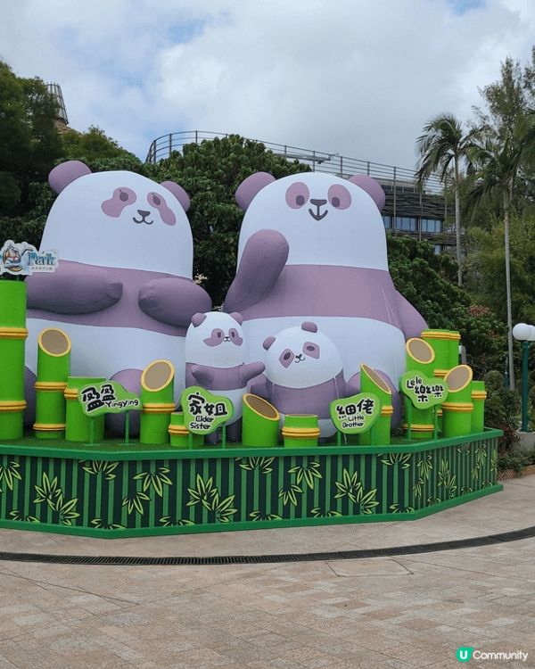 香港海洋公園設有熊貓、企鵝、北極狐及海豚等珍貴海陸動物展館，...