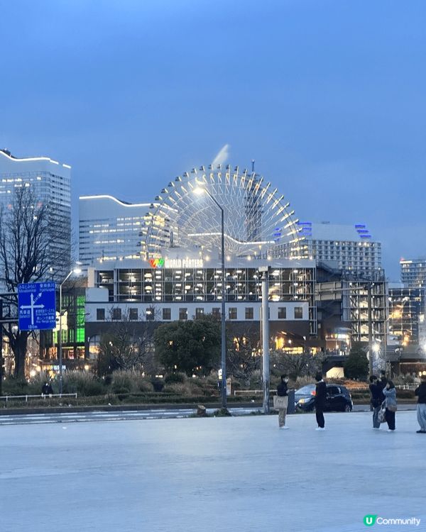 三月尾參加了日本本地遊遊覽橫濱，咁啱當地有花卉展，勁靚，配合...