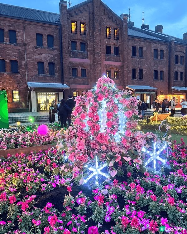 三月尾參加了日本本地遊遊覽橫濱，咁啱當地有花卉展，勁靚，配合...