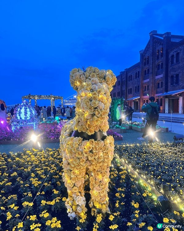 三月尾參加了日本本地遊遊覽橫濱，咁啱當地有花卉展，勁靚，配合...