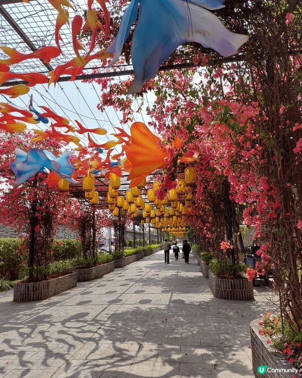 位於廣州市番禺區的嶺南印象園是一座以嶺南鄉土風情及民俗文化為...