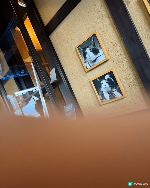 這是我和媽咪去日本旅行相片，其中去到奈良看鹿鹿，也到火車站看...