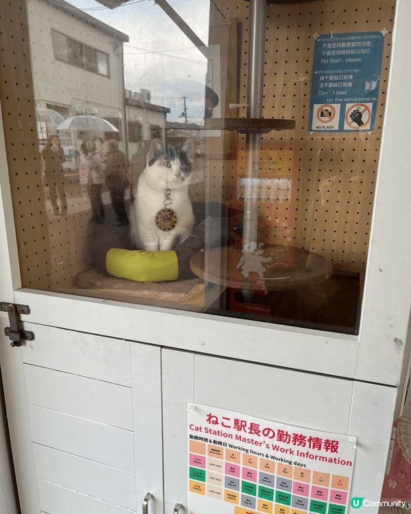 這是我和媽咪去日本旅行相片，其中去到奈良看鹿鹿，也到火車站看...