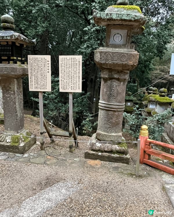 這是我和媽咪去日本旅行相片，其中去到奈良看鹿鹿，也到火車站看...