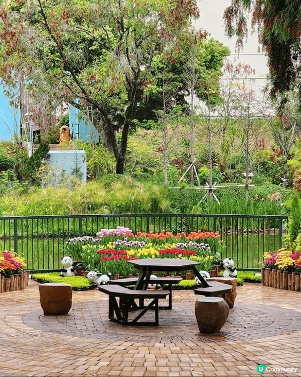 春天來啦！花兒開啦！多加留意身邊嘅景色，到處都是美好的時光！...