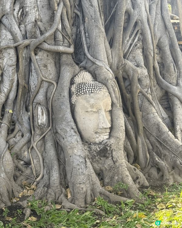 上年12月去咗泰國大城府參觀，該處歷史遺跡好靚，好值得欣賞