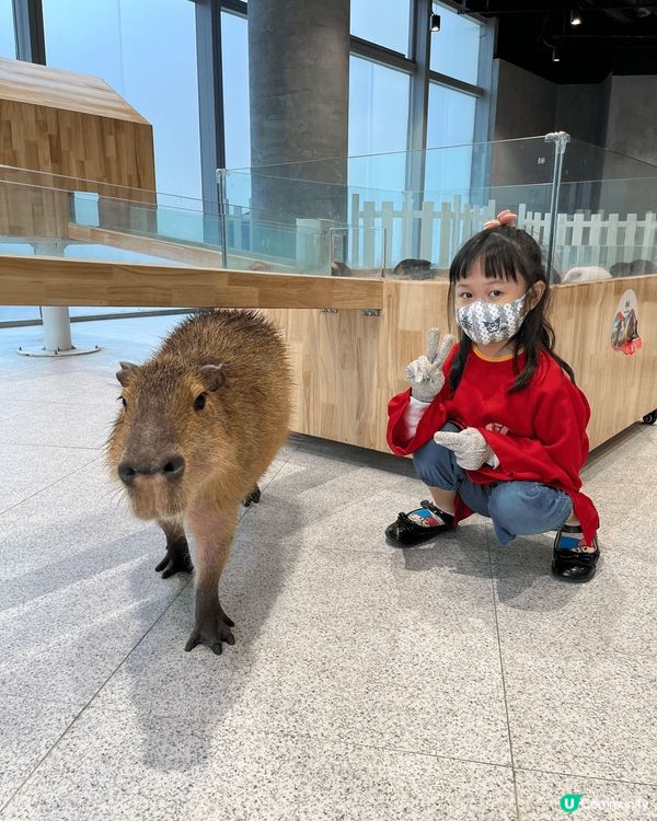 我們一家時常去深圳玩，周圍食周圍玩，四圍搵靚酒店住，最開心就...