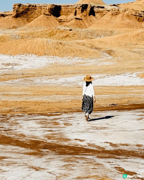 這是在南疆拍攝的照片
