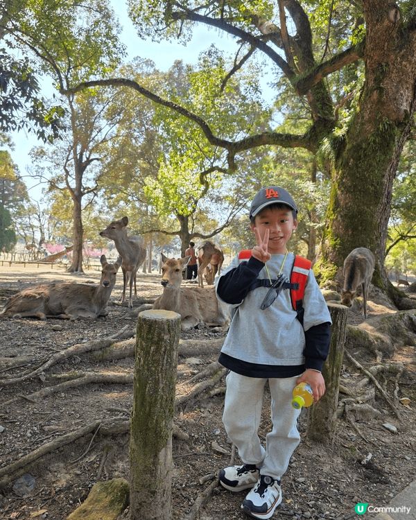 帶住小朋友係亞洲地區不停行萬哩路，著住韓服體驗當地文化，率先...