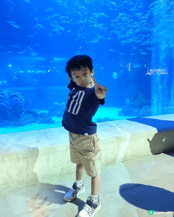 帶住小朋友係亞洲地區不停行萬哩路，著住韓服體驗當地文化，率先...