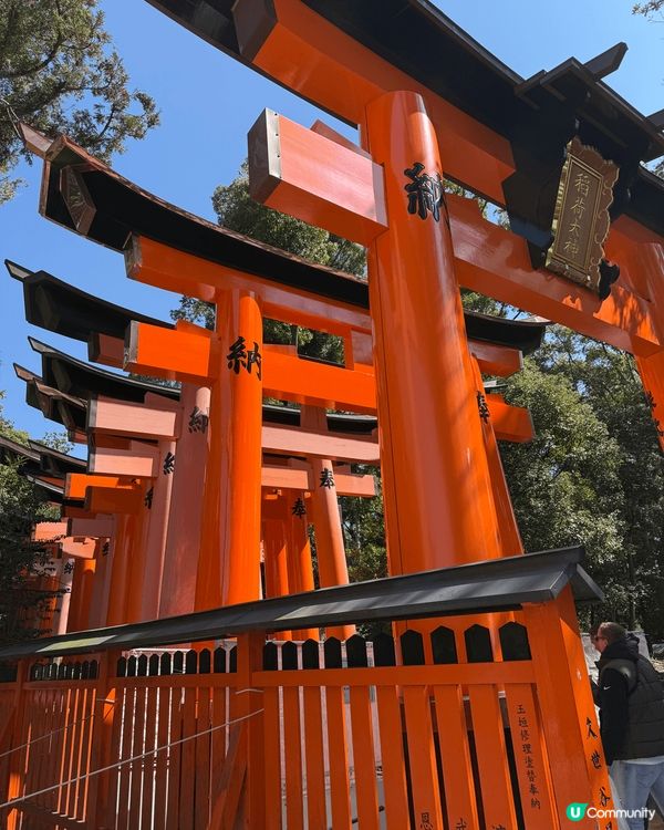 伏見稻荷大社喺京都真是一個靚到爆嘅地方！成條山路排滿紅色千本...