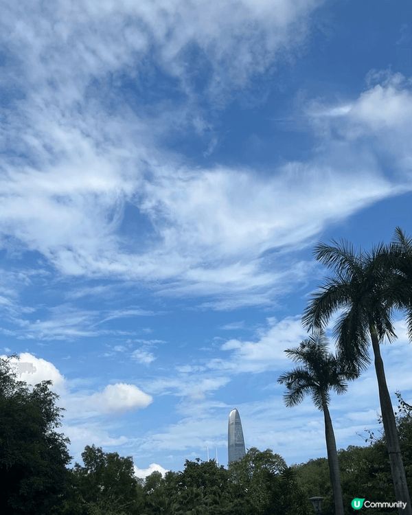 復活節好好天氣，到了深圳的傳統的茶樓-鳳凰樓品嚐經典點心，啖...