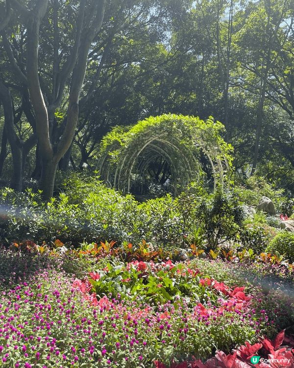 花。悅 -也許春天喚不到你的情人來，但請不要忘記春花送你的浪...