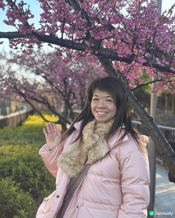 今年二月中去東京嘅時候，本身今年天氣比較凍，櫻花都應該未開，...
