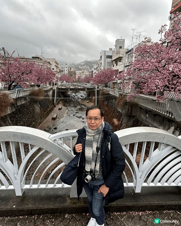 睇櫻花唔一定要三至四月份去睇，去年一月尾去東京旅行時去熱海，...