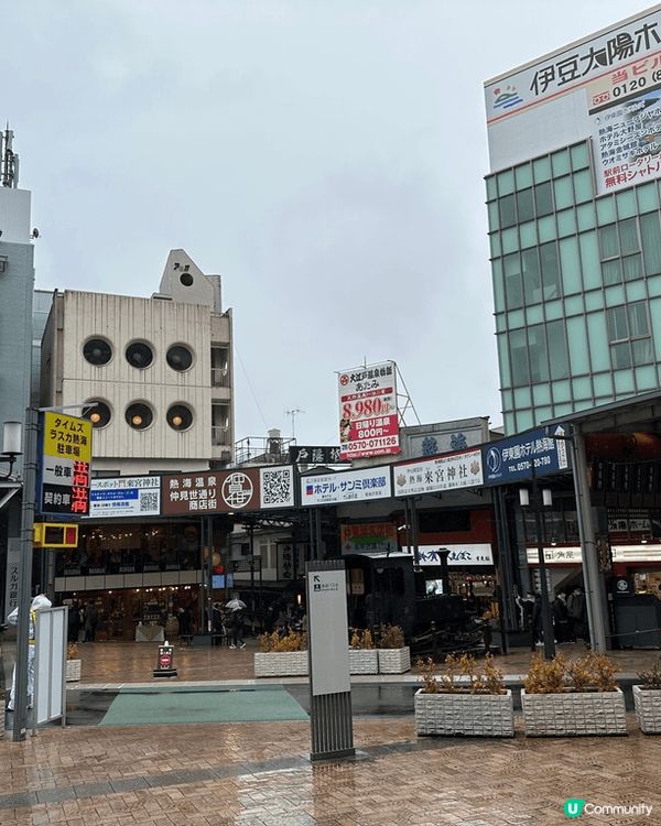 睇櫻花唔一定要三至四月份去睇，去年一月尾去東京旅行時去熱海，...