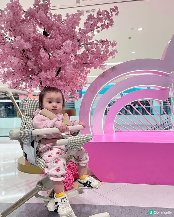 今個情人節一齊沉醉櫻花海啦