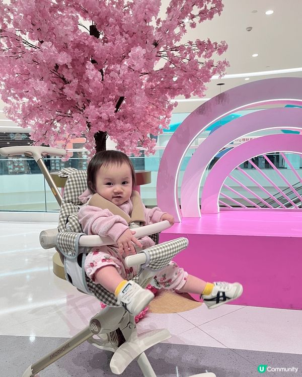 今個情人節一齊沉醉櫻花海啦