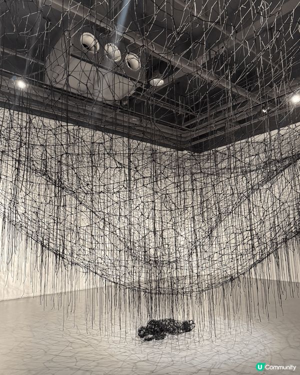 深圳鹽田千春《命運的邊緣》在木星藝術館舉辦中！展館中展出不少...