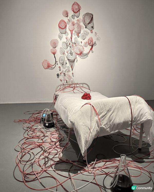 深圳鹽田千春《命運的邊緣》在木星藝術館舉辦中！展館中展出不少...