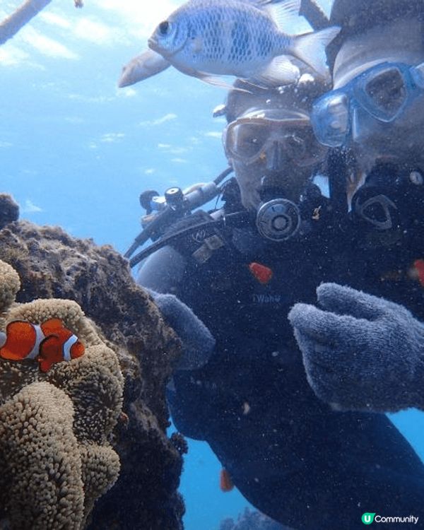 阿媽叫我出街瞓，然後我逼於無奈踏上一場話走就走嘅歐洲之旅