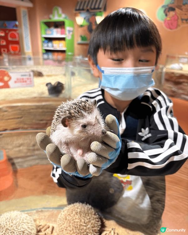 珠海印象城，除咗有山姆之外，仲有一間好出色溫馨嘅動物園，可以...