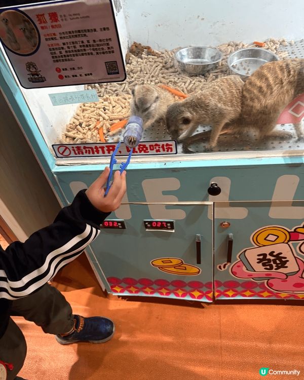 珠海印象城，除咗有山姆之外，仲有一間好出色溫馨嘅動物園，可以...