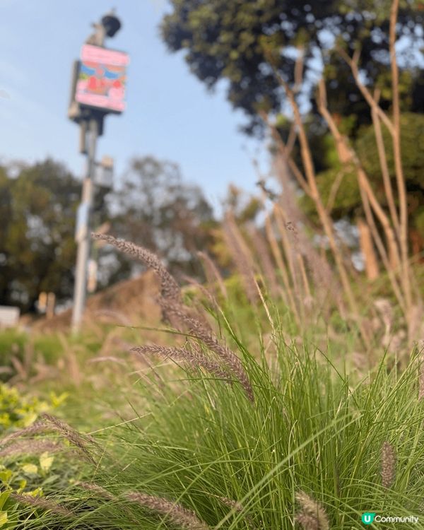 澳門必到打卡點-大三巴，到大三巴嘅日落都幾靚，除咗大三巴呢一...