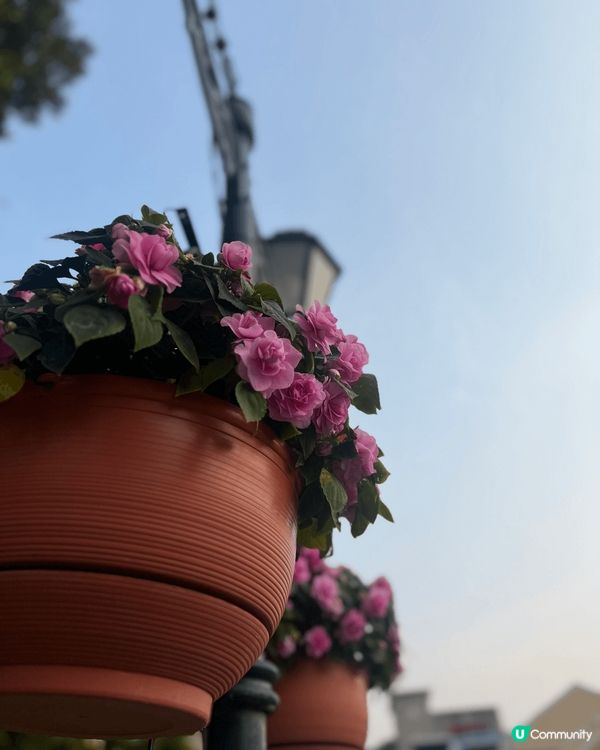 澳門必到打卡點-大三巴，到大三巴嘅日落都幾靚，除咗大三巴呢一...